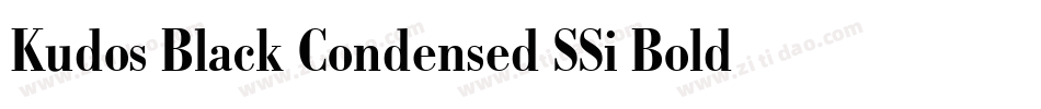 Kudos Black Condensed SSi Bold Condensed字体转换